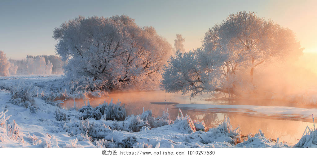 冬季景观温暖的阳光和冰冷的树木与霜二十四节气立冬小雪大雪冬至小寒大寒